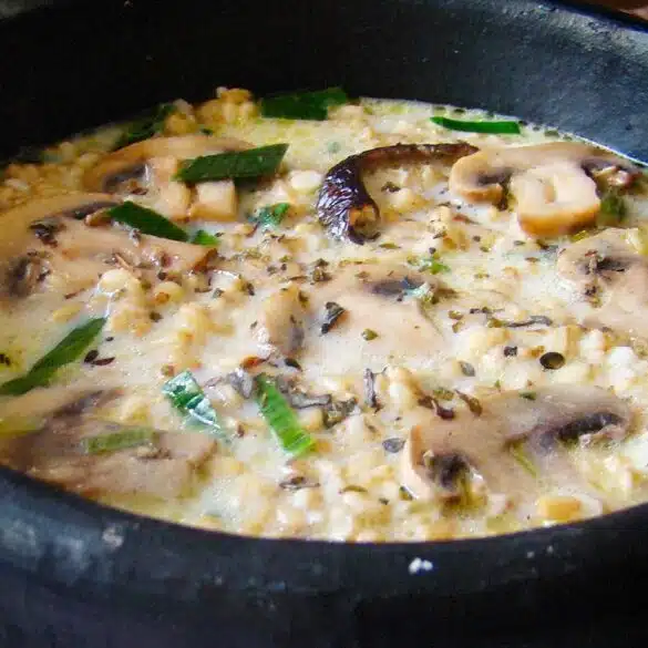 Sopa de avena puerros y champiñones
