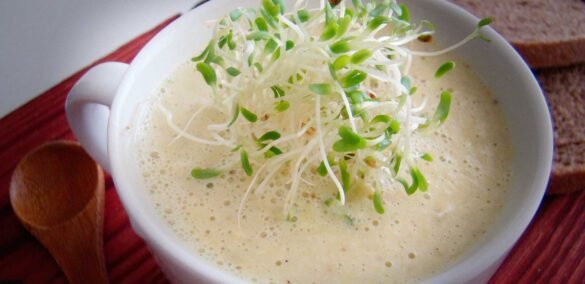 Sopa de choclo