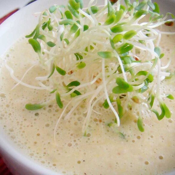 Sopa de choclo