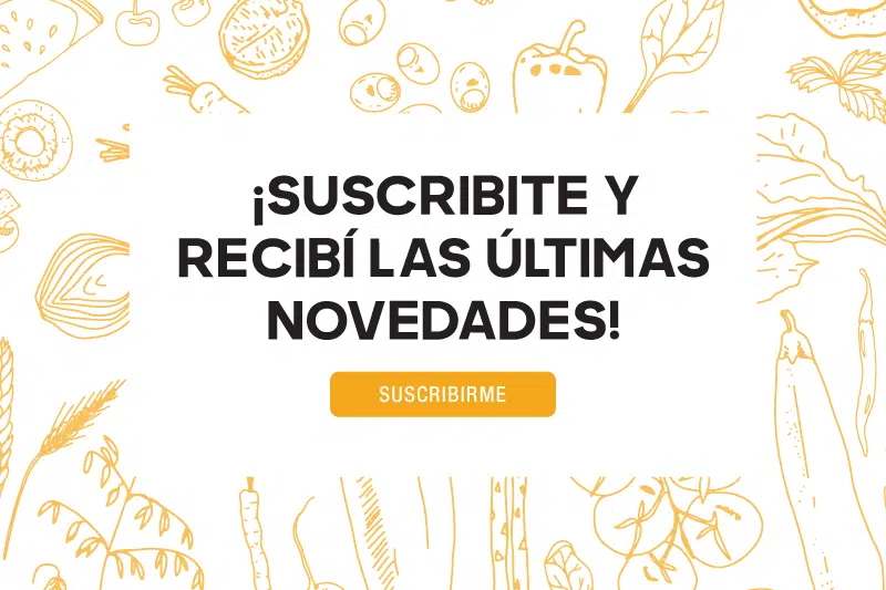Foodini. Foodini Cocina. Newsletter. Boletin informativo. Email. Suscripción